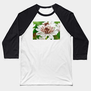 Osteospermum  Flower Power Double Series  Double White Bronze Baseball T-Shirt